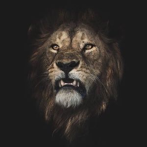 Meet your Posher, Juan